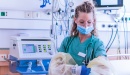 Nurse in a face mask, putting on a gown and gloves